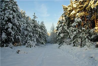 《DOTA2》Team Aster和Team Falcons战队阵容官宣